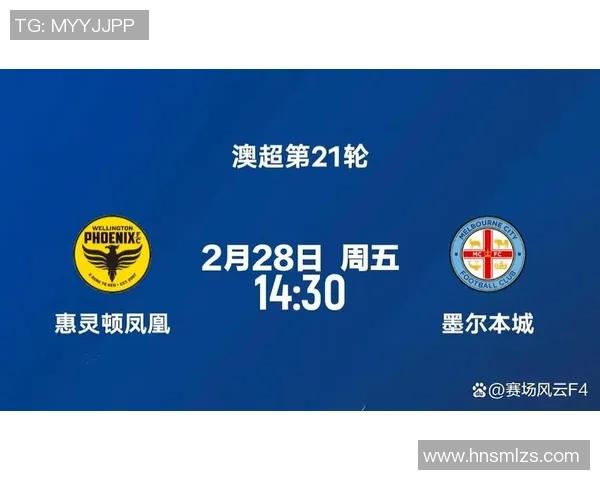 墨尔本城主场迎战惠灵顿凤凰争夺胜利的精彩对决