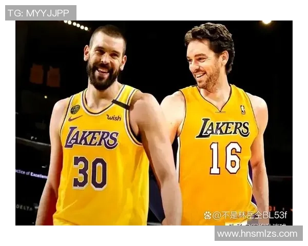 小加索尔与大加索尔的篮球对决兄弟情深的赛场传奇 小加索尔与大加索尔的篮球对决兄弟情深的赛场传奇