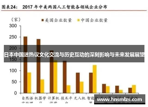 日本中国迷热议文化交流与历史互动的深刻影响与未来发展展望