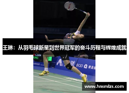 王琳：从羽毛球新星到世界冠军的奋斗历程与辉煌成就