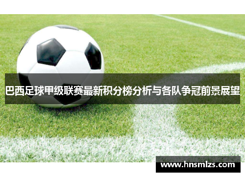 巴西足球甲级联赛最新积分榜分析与各队争冠前景展望