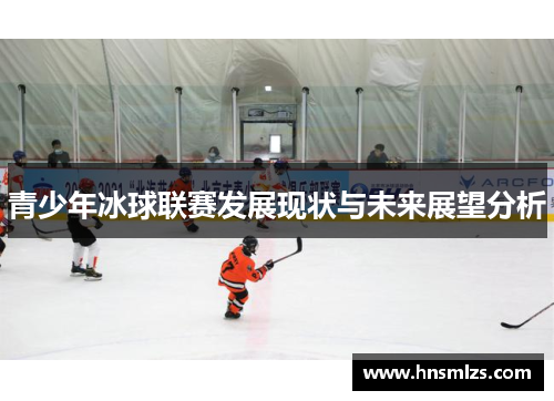 青少年冰球联赛发展现状与未来展望分析